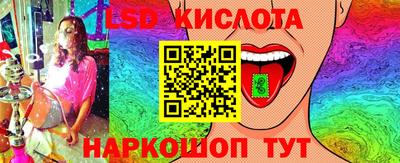 шишки Брянск