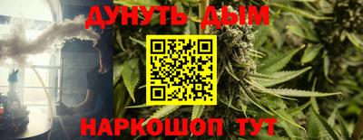 шишки Брянск