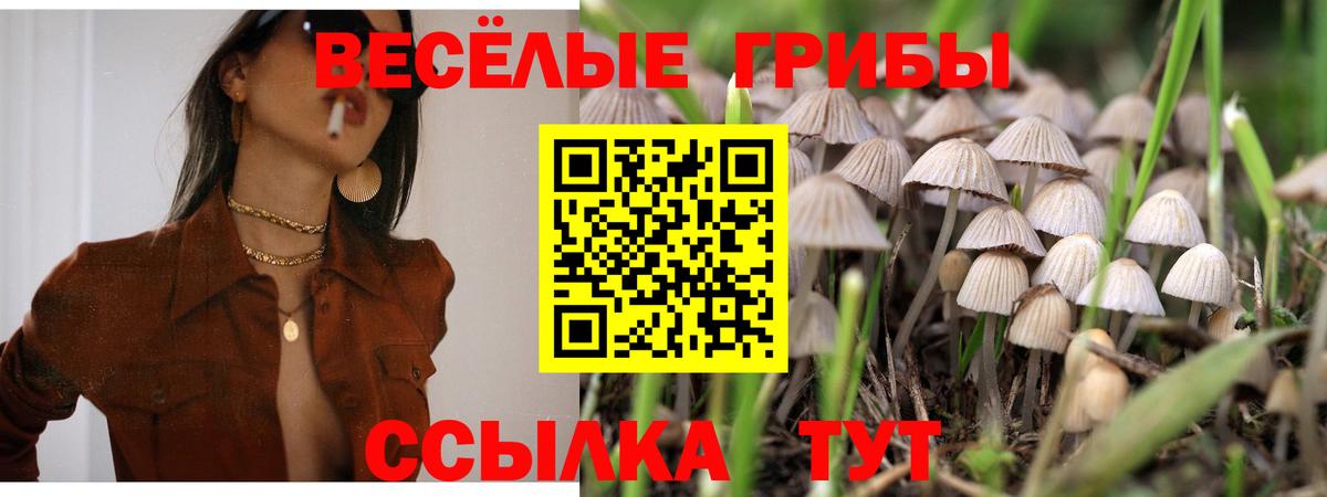 Галлюциногенные грибы Magic Shrooms Черкесск