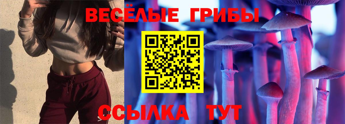 Галлюциногенные грибы Psilocybine cubensis  Вход с VPN  Черкесск  Галлюциногенные грибы Psilocybe 
